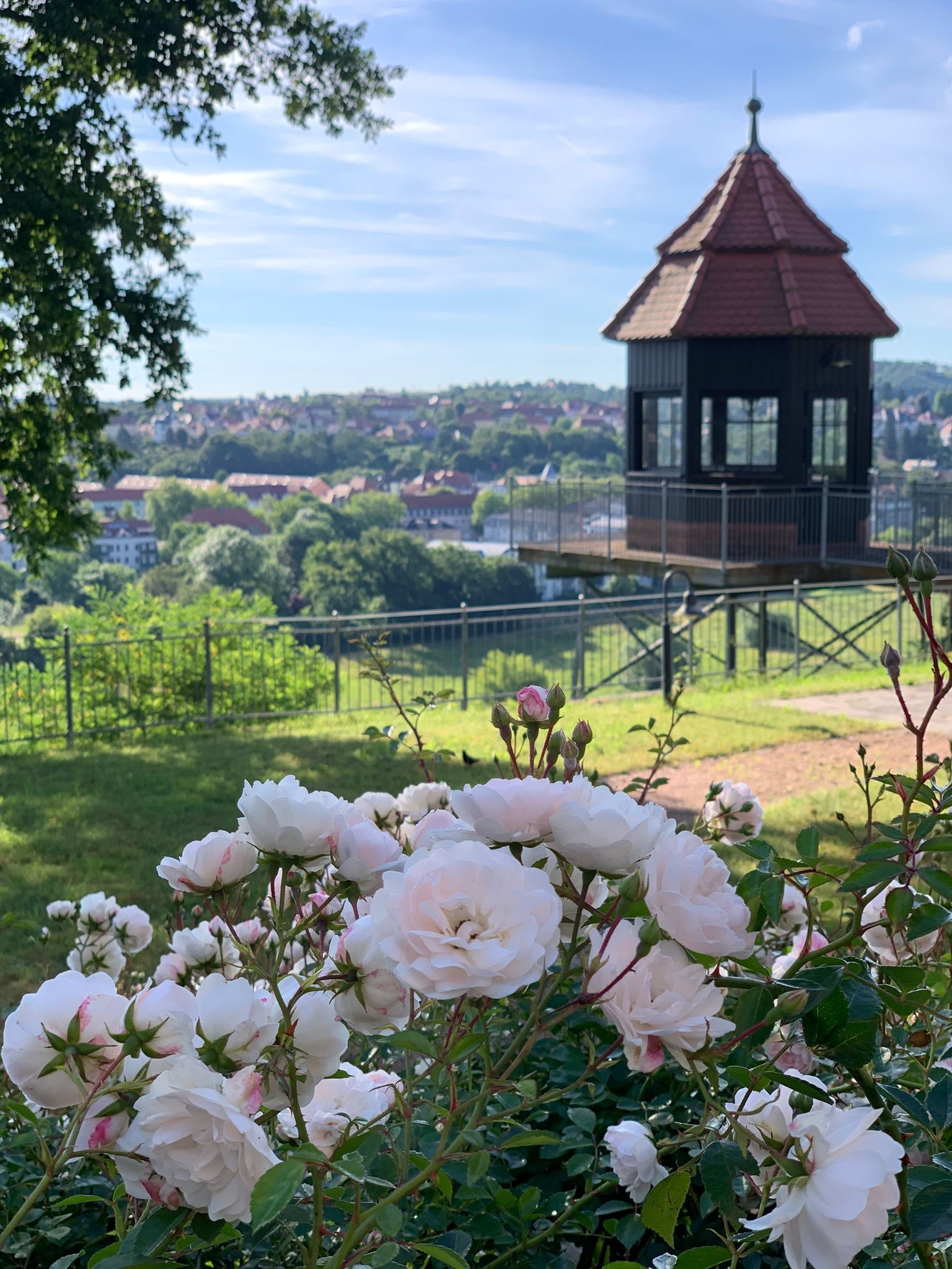 Über uns_Steuerberater Thomas Thieme2